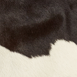 Black Brown Cream