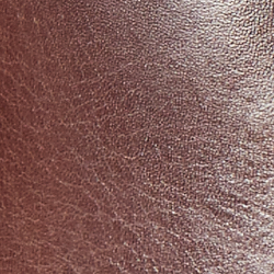 Chestnut Brown