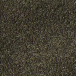 Estate Olive