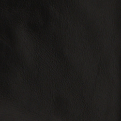 Polo Black