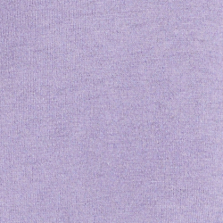 Aster Purple