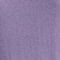 Aster Purple
