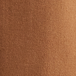 New Vicuna