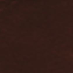 Bracelet Mini Stirrup en alligator