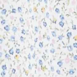 Floral Plus