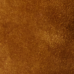 Cinnamon