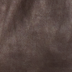 Dark Beech