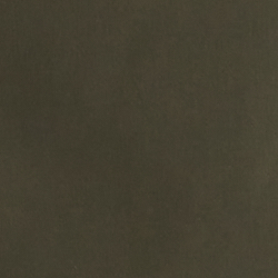 Estate Olive