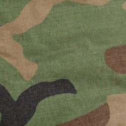 Surplus Camo