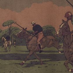 Polo Club Toile