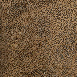 Brown Earth