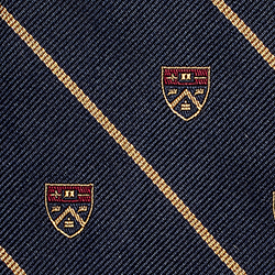 Navy/Gold