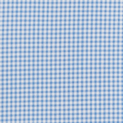 Mini Blue/White