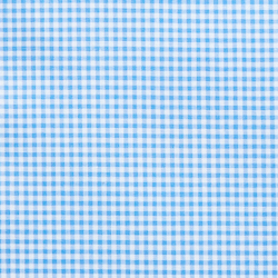Mini Blue/White
