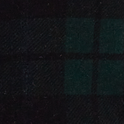 Navy/Green/Black