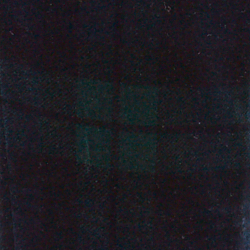 Navy/Green/Black