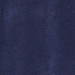 Cruise Navy