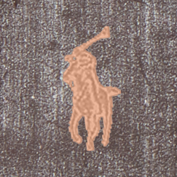 Teak Bridle