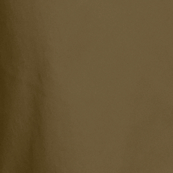 Expedition Olive