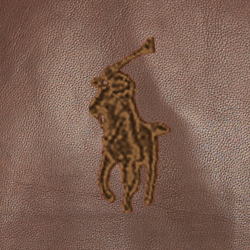 Circuit Brown