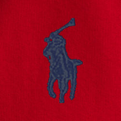 Le sweat à capuche RL en molleton