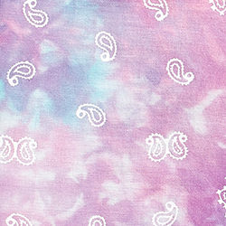 Pastel Multi