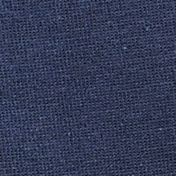 Cruise Navy