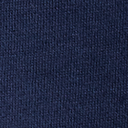 Cruise Navy