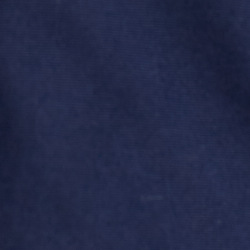 Cruise Navy