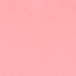 Lauren Pink
