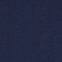 Refined Navy