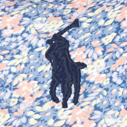 Navy Multi