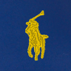 Navy And Yellow
