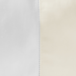 Parchment