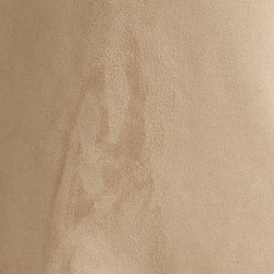 Chamois