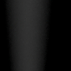 Shiny Black