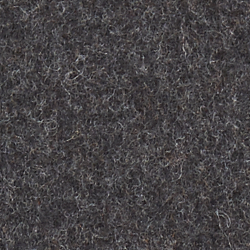 Charcoal/Dusk Orange