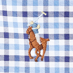 Blue Gingham