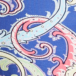 Preppy Paisley Blue Sp-40