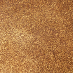 Davis Tan