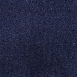 Cruise Navy