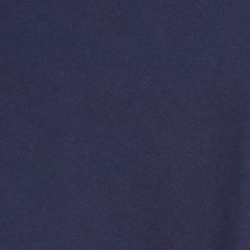 Cruise Navy