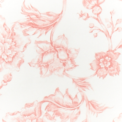 Cream/Pink