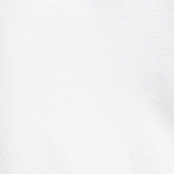 White Surf Bear