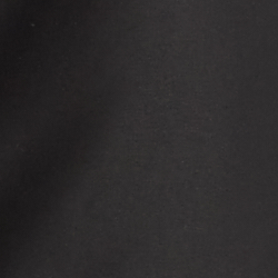 Polo Black