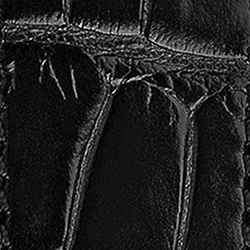 Black #249001