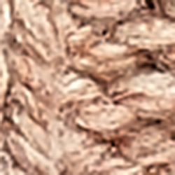 Camel Heather
