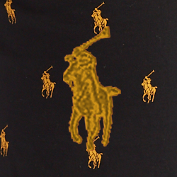 Polo Black Gold Aopp