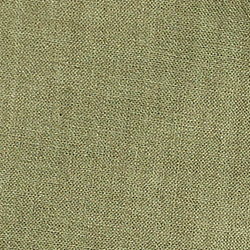 Olive Multi