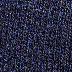 Cruise Navy